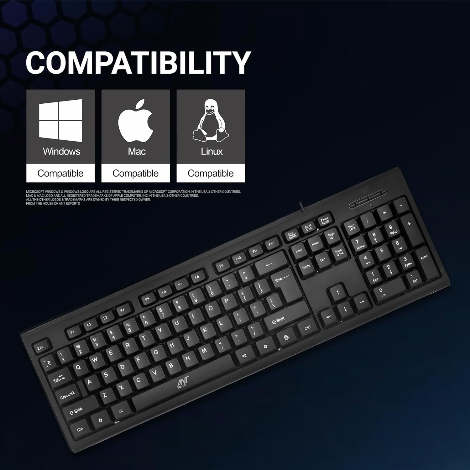 Lowest Price